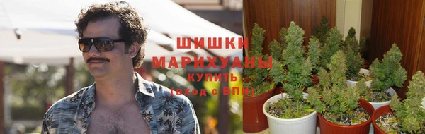 бутират Мегион