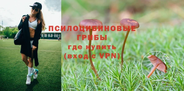 гашик Медногорск